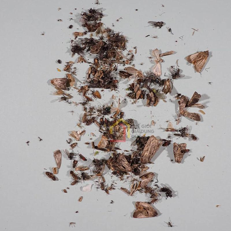 den-bat-muoi-con-trung-dynatrap-dt150-tun2 Đèn bắt muỗi, côn trùng Dynatrap DT150-TUN