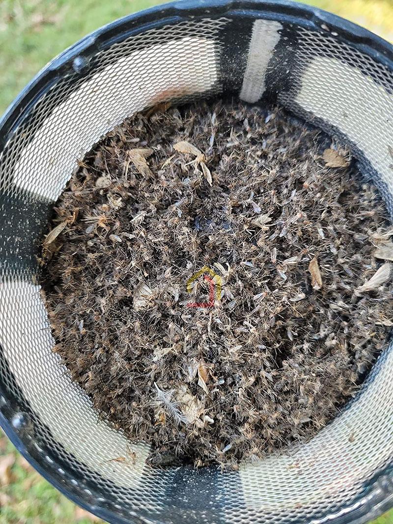 den-bat-muoi-con-trung-dynatrap-dt150-tun4 Đèn bắt muỗi, côn trùng Dynatrap DT150-TUN