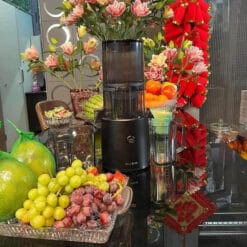 máy ép chậm Hurom H300L