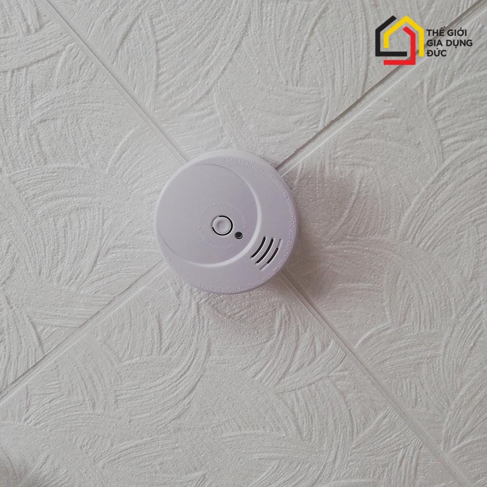 thiet-bi-bao-chay-haussicherheit-rm-gs506 (8) Thiết bị báo cháy Haussicherheit RM GS506