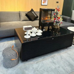 Bàn tích hợp bộ nhạc tủ lạnh Caso Sound & Cool