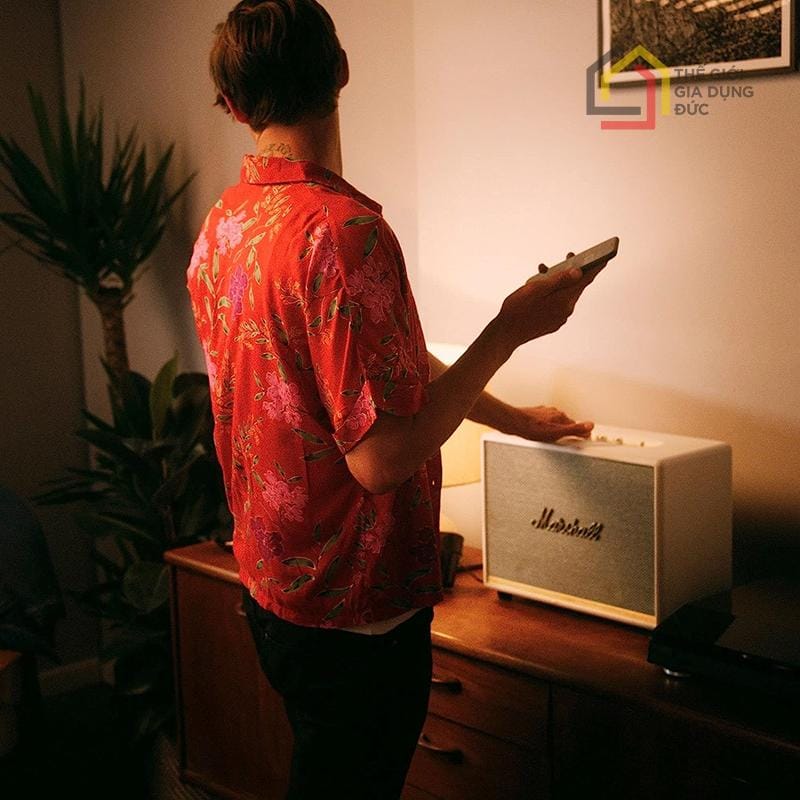 loa-marshall-woburn-2-ii22 Loa Marshall Woburn 2 (II)