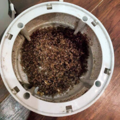 Đặc điểm đèn bắt muỗi bằng tia UV Bugs-Killer