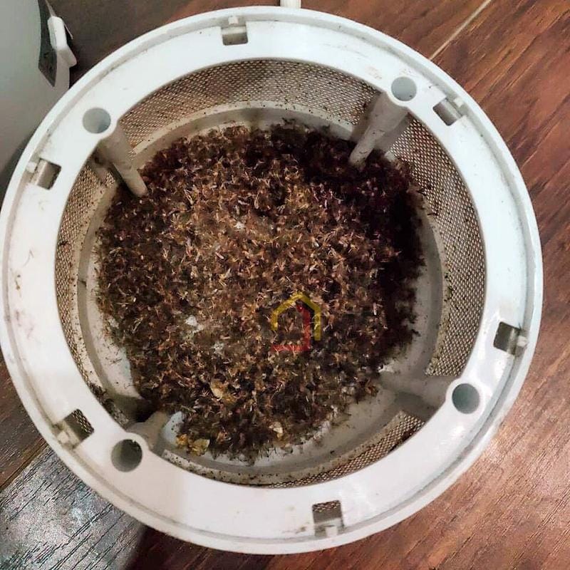 den-bat-muoi-bang-tia-uv-bugs-killer-2 Đặc điểm đèn bắt muỗi bằng tia UV Bugs-Killer