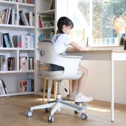 Ghế chống gù SK157