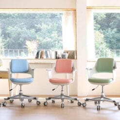 Ghế chống gù SK157