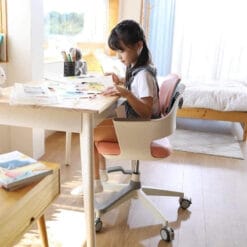 Ghế chống gù SK157