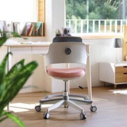 Ghế chống gù SK157