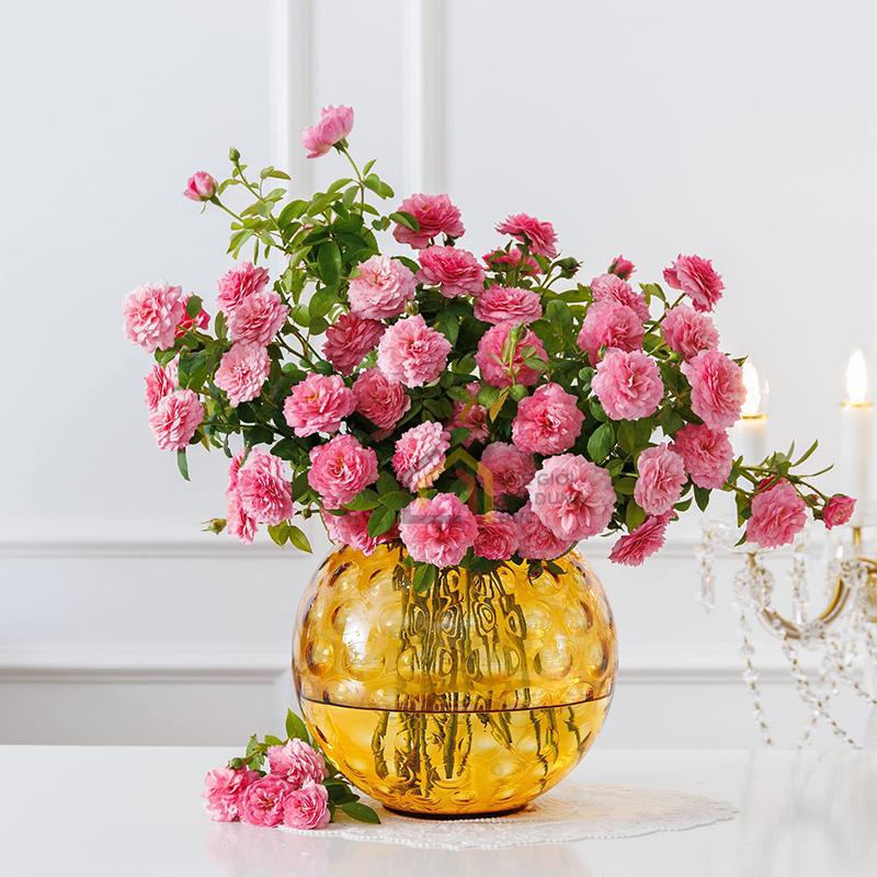 lo-hoa-pha-le-egermann-optika-205cm11 Lọ hoa pha lê Egermann Optika 20,5cm