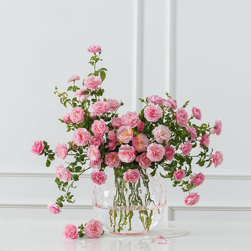 lo-hoa-pha-le-egermann-optika-205cm15 Lọ hoa pha lê Egermann Optika 20,5cm