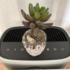 Máy lọc không khí Philips AC2887/10