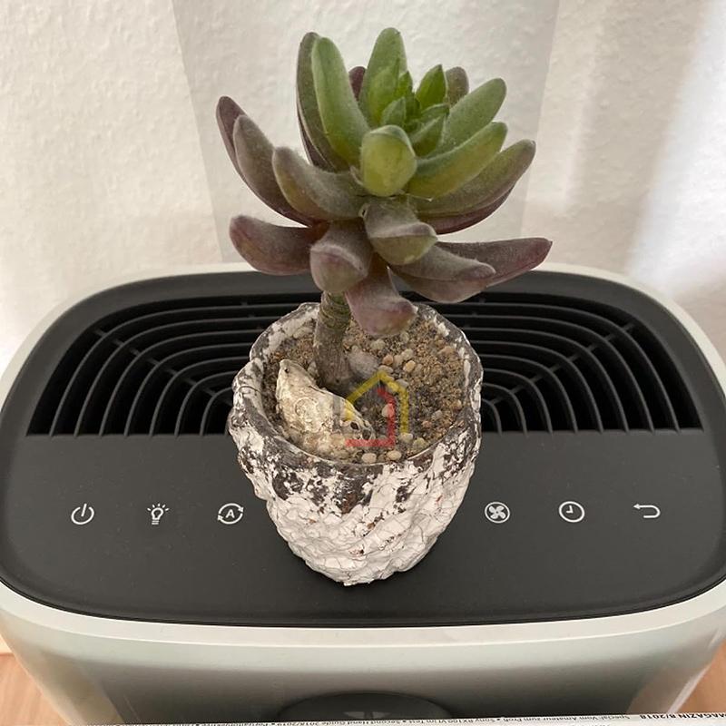 may-loc-khong-khi-philips-ac2887-10-8 Máy lọc không khí Philips AC2887/10