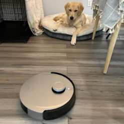 Robot hút bụi lau nhà Ecovacs Deebot X1 Omni tự giặt giẻ