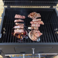 Bếp nướng than ngoài trời Tepro Toronto