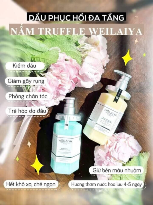 Bộ gội xả phục hồi đa tầng nấm Truffle Weilaiya