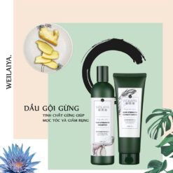 Cặp dầu gội xả gừng Weilaiya