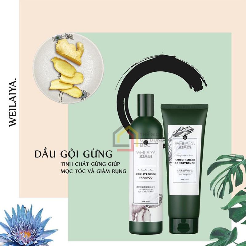 cap-dau-goi-xa-gung-weilaiya (4) Cặp dầu gội xả gừng Weilaiya