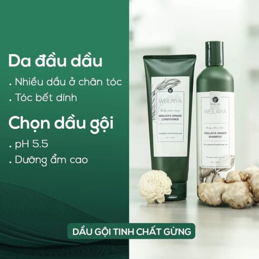 Cặp dầu gội xả gừng Weilaiya