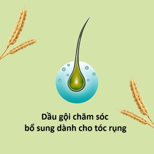 Dầu gội đầu trị rụng tóc, hói đầu làm dầy và dài tóc Priorin