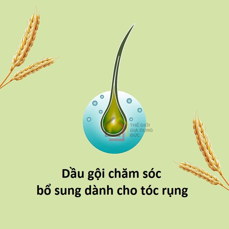 dau-goi-dau-tri-rung-toc-hoi-dau-lam-day-va-dai-toc-priorin1 Dầu gội đầu trị rụng tóc, hói đầu làm dầy và dài tóc Priorin
