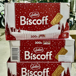 Bánh quy Lotus Biscoff hộp 300 cái