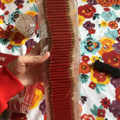 Bánh quy Lotus Biscoff hộp 300 cái