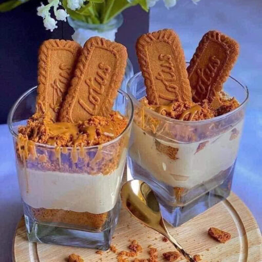 Bánh quy Lotus Biscoff hộp 300 cái