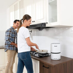 Máy lọc không khí Levoit LV-H132