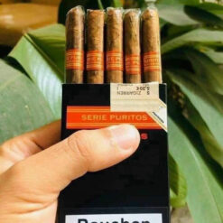 Xì gà Partagas Serie Puritos gói 5 điếu