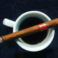 Xì gà Partagas Serie Puritos gói 5 điếu