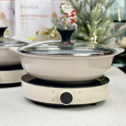 Cặp bếp từ và nồi lẩu lòng đá Ecoramic From Korea