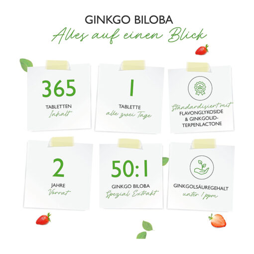 Thuốc bổ não Ginkgo Biloba 6000 Vit4ever