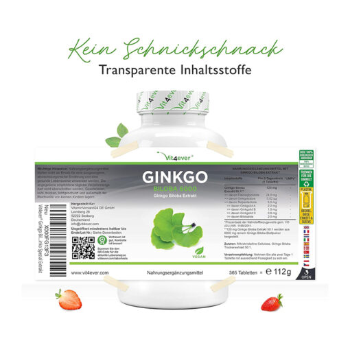 Thuốc bổ não Ginkgo Biloba 6000 Vit4ever