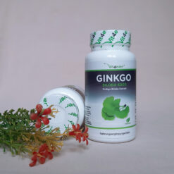 Thuốc bổ não Ginkgo Biloba 6000 Vit4ever