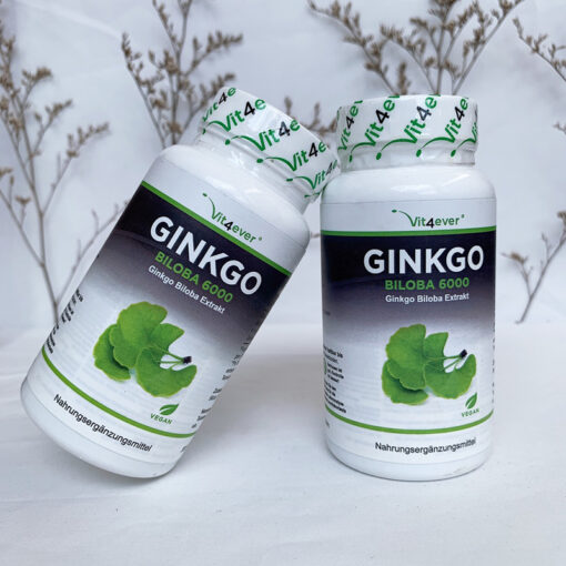 Thuốc bổ não Ginkgo Biloba 6000 Vit4ever