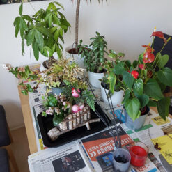 Bộ tưới cây tự động Gardena 01265