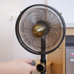 Quạt cây Stylies Uranus COP001101