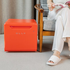 Tủ lạnh mini Olly 24L