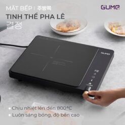 Bếp từ đơn Gume GIC LITE - 01