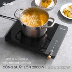 Bếp từ đơn Gume GIC LITE - 01