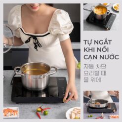 Bếp từ đơn Gume GIC LITE - 01