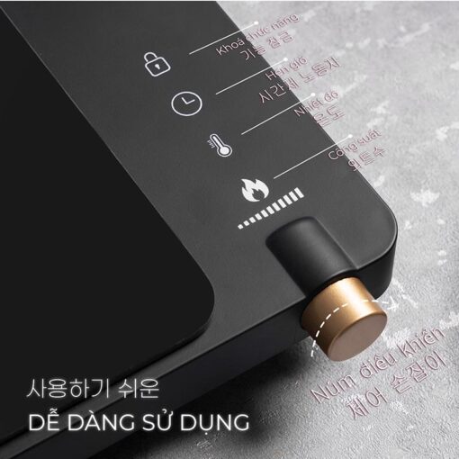 Bếp từ đơn Gume GIC LITE - 01
