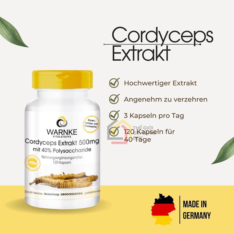 dong-trung-ha-thao-warnke-cordyceps-extrakt1 Đông Trùng Hạ Thảo Warnke Cordyceps Extrakt