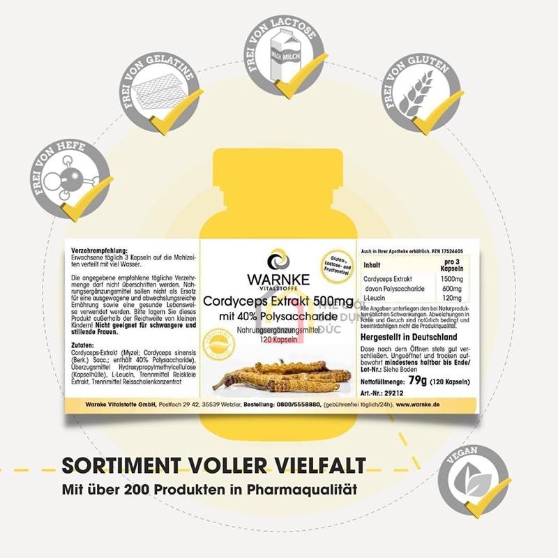dong-trung-ha-thao-warnke-cordyceps-extrakt2 Đông Trùng Hạ Thảo Warnke Cordyceps Extrakt