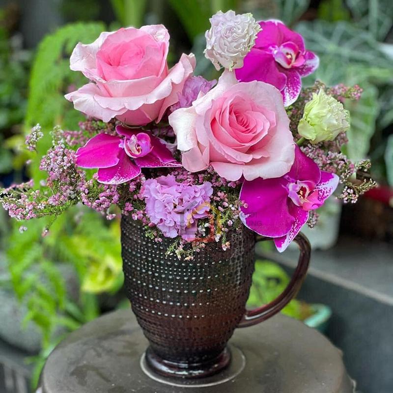 binh-highgate-van-hat-viola-1-lit Bình Highgate vân hạt Viola 1 lít