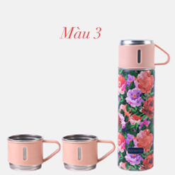 Bình nước giữ nhiệt Racekish Magrace Paris 500ml