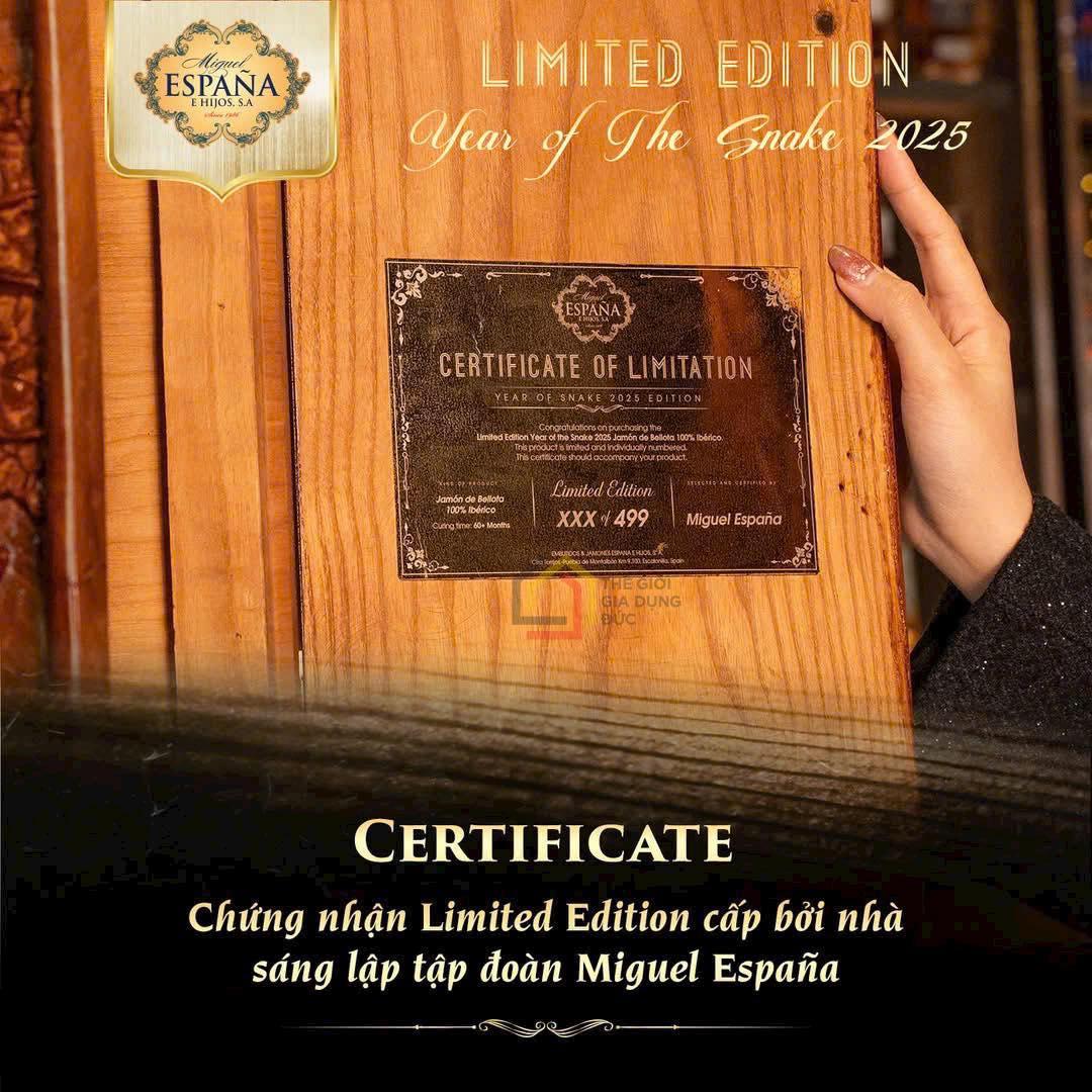 473542355_1000533618790569_1609371849735195603_n