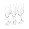 Bộ Ly Champagne Columba - Crystal Bohemia 260ml