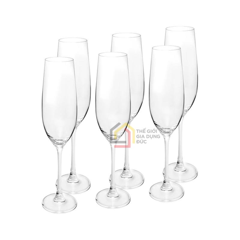 bo-ly-champagne-columba-crystal-bohemia-260ml Bộ Ly Champagne Columba - Crystal Bohemia 260ml