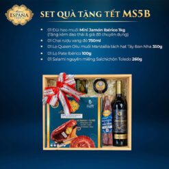 Set quà tặng Tết MS5B (lợn đen)